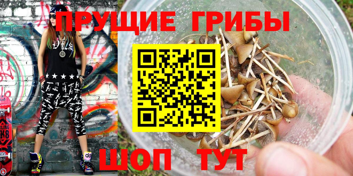 Галлюциногенные грибы ЛСД Солнечногорск