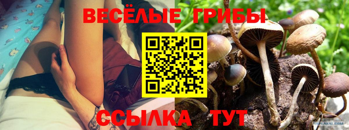 Солнечногорск  Галлюциногенные грибы MAGIC MUSHROOMS  Вход с VPN  Галлюциногенные грибы Magic Shrooms 